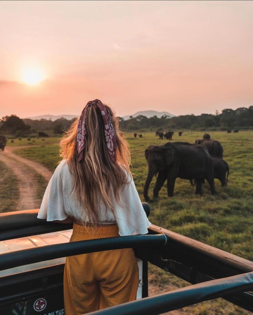 Minneriya Jeep Safari Habarana Dış mekan fotoğraf